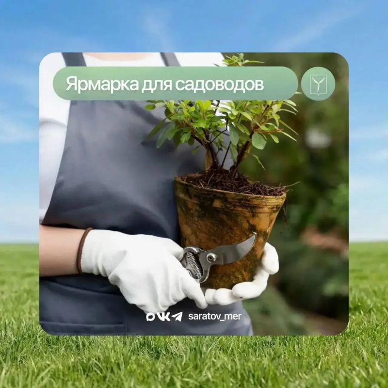 ������ � ������� ������?. �� ���������� ������ ������ �������� ������� ��� ���������, ����������� � ��������