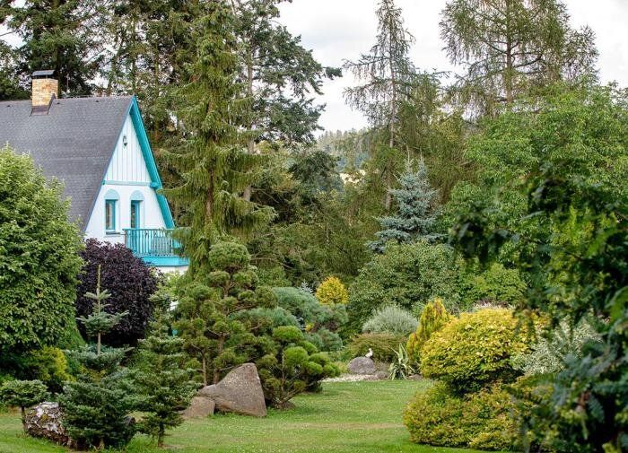 �� ����������� �� ��������: ������ ������� � ����� �� ���� � �������� ���������