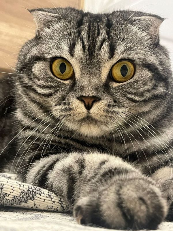 � ������� 3 ������ � ����������� ������� ����� �������� � ��������