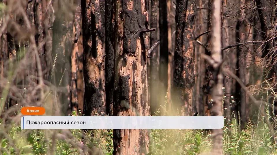 �������� ���� � ������ ������� ������� �������