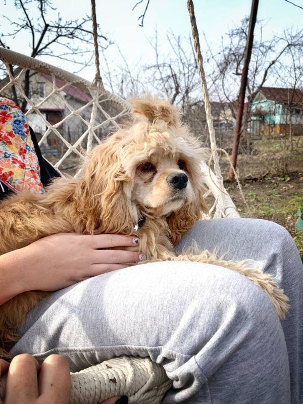 � ������� 4 ������ � ����������� ������� ��������� �����