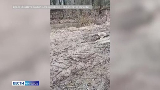 �������� ��������. ���������� ��������� ������������ ������ ������, ������� �� ����� �������������� �������������