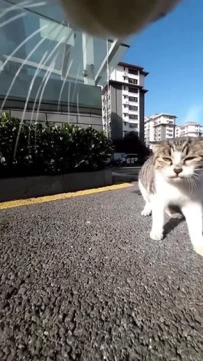 � ��� ������� ����, � ����� ���� ���������� �����!