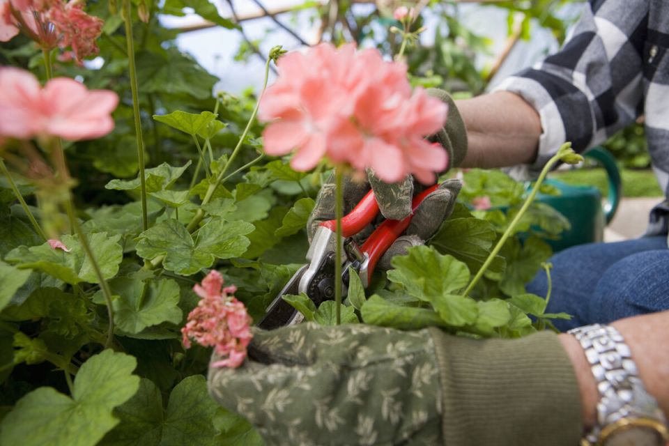 ������: ��������� ������ ��� ������� � ����� � ������