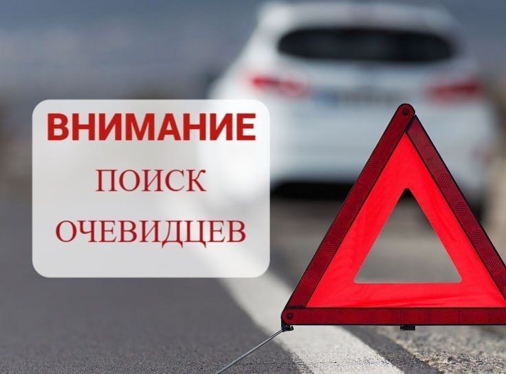 ����������� ������ ������������ ��������� ������������ �������-������������� ������������ � ��������� ������ ��������