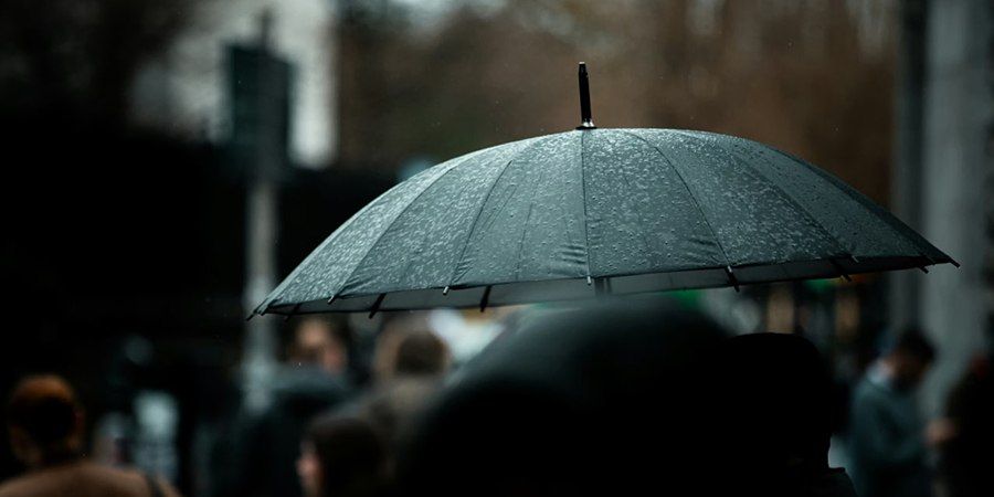 � ����������� ������� ������������ ������� � ������� � �������