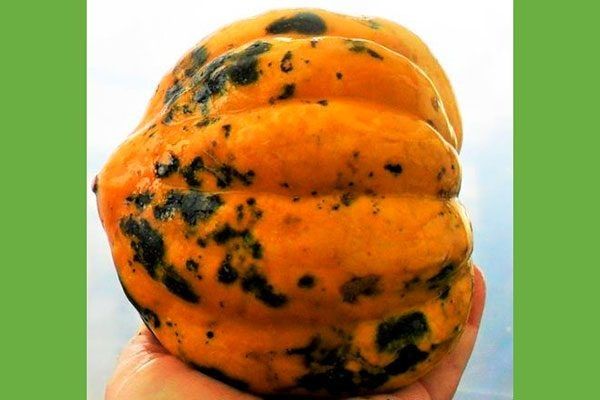 ����� �����: ������������� ���� � �������� ������ � ������������� ��������