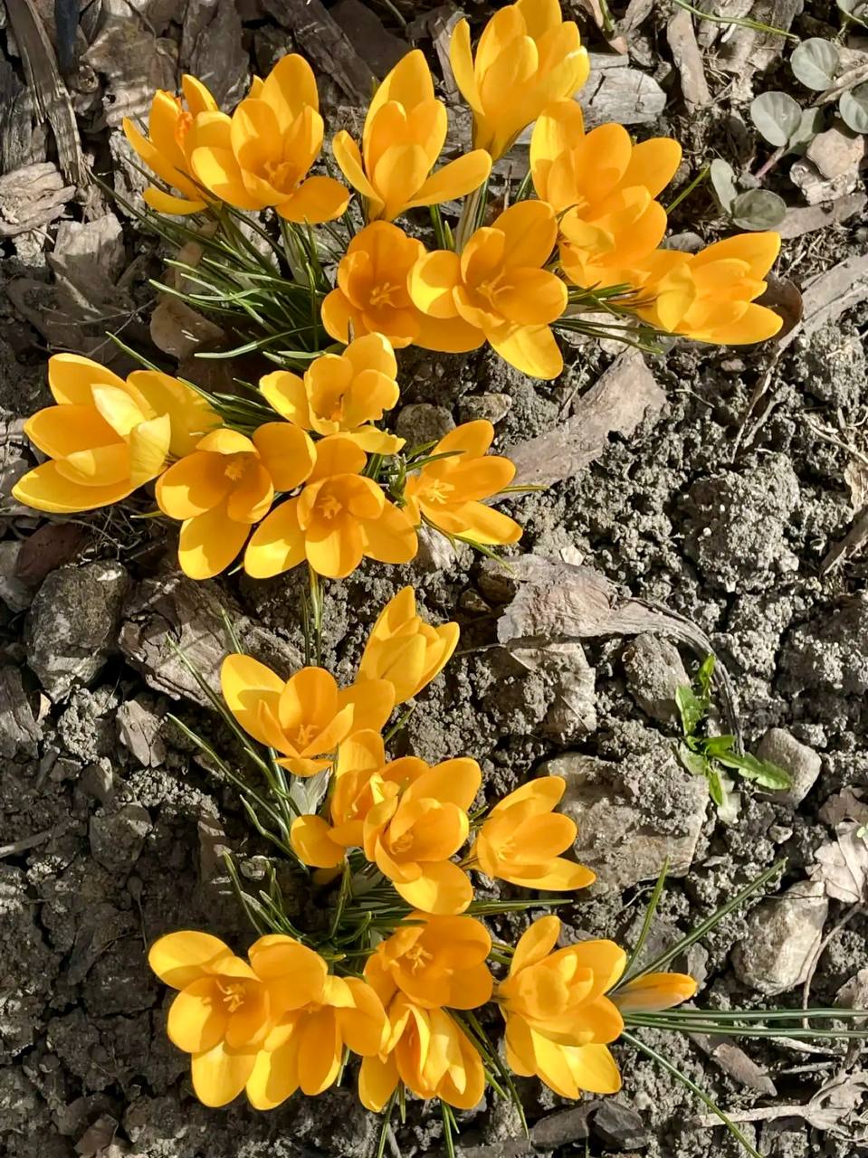 Вячеслав Володин: ВЕСНА НАСТУПИЛА. Рассказывал об Иоанновском женском монастыре Вячеслав Володин: ВЕСНА НАСТУПИЛА. Рассказывал об Иоанновском женском монастыре