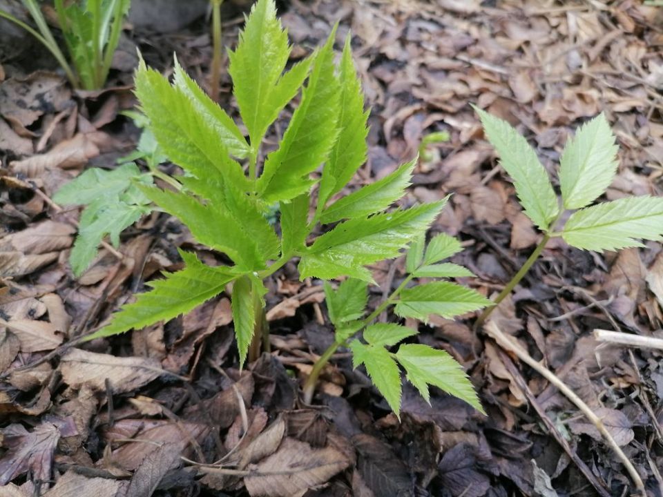 ����� � ���� ����: ����������� ����� ��� �������� ����������?