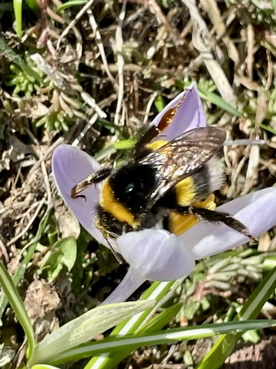 Вячеслав Володин: ВЕСНА НАСТУПИЛА. Рассказывал об Иоанновском женском монастыре Вячеслав Володин: ВЕСНА НАСТУПИЛА. Рассказывал об Иоанновском женском монастыре
