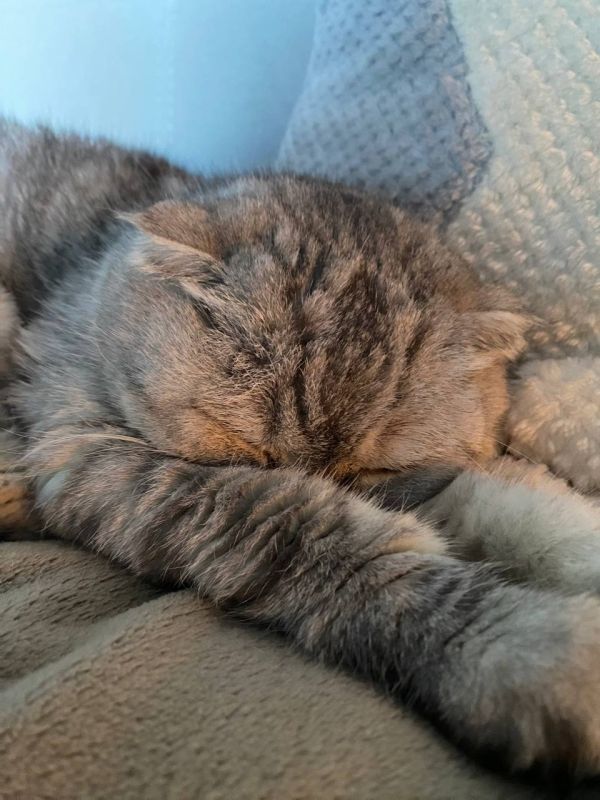 � ����������� ������� ���� 5 ������, � �����������, �������������� �������� ������ � ������������, �������� �������������