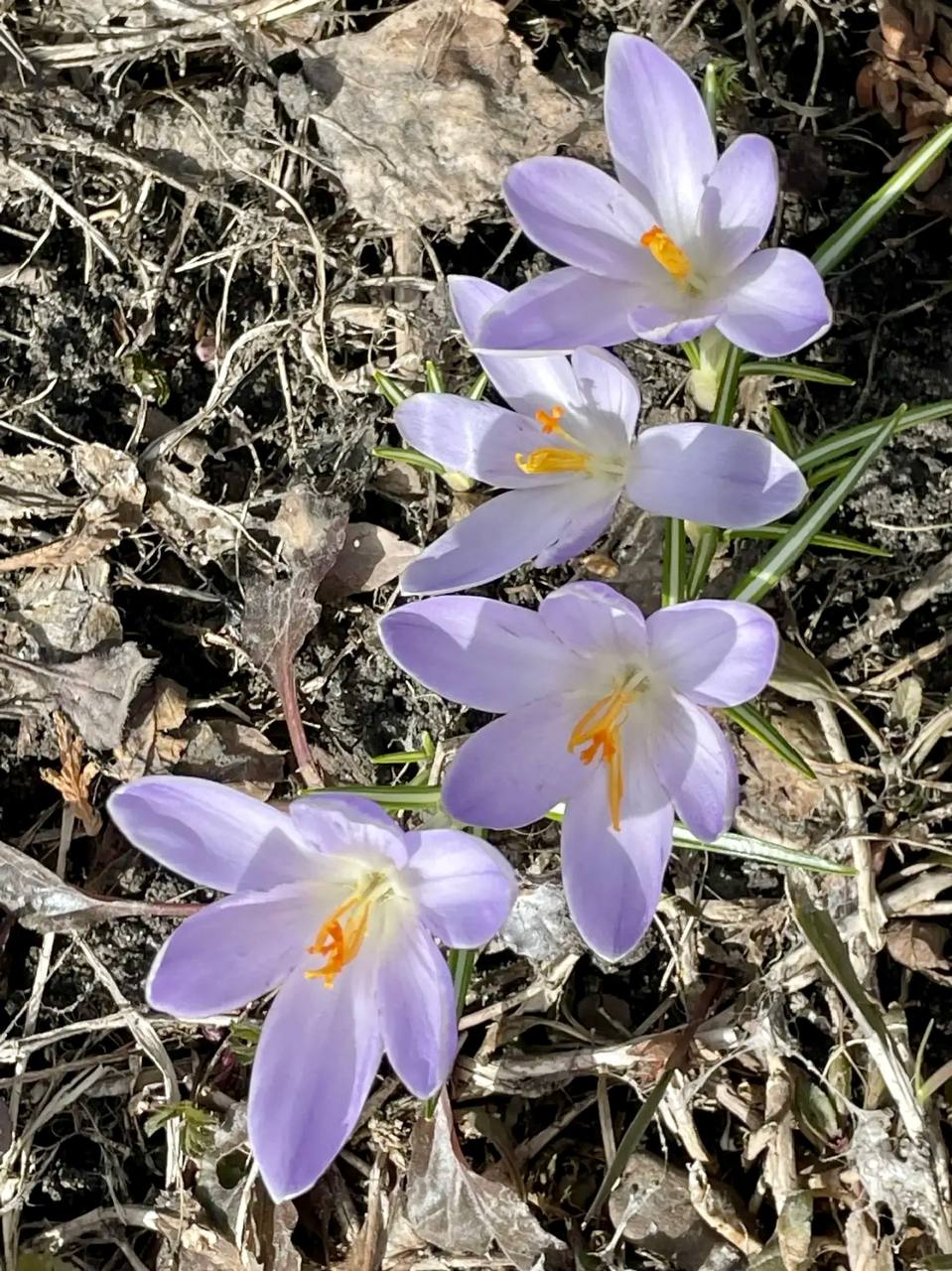 Вячеслав Володин: ВЕСНА НАСТУПИЛА. Рассказывал об Иоанновском женском монастыре Вячеслав Володин: ВЕСНА НАСТУПИЛА. Рассказывал об Иоанновском женском монастыре