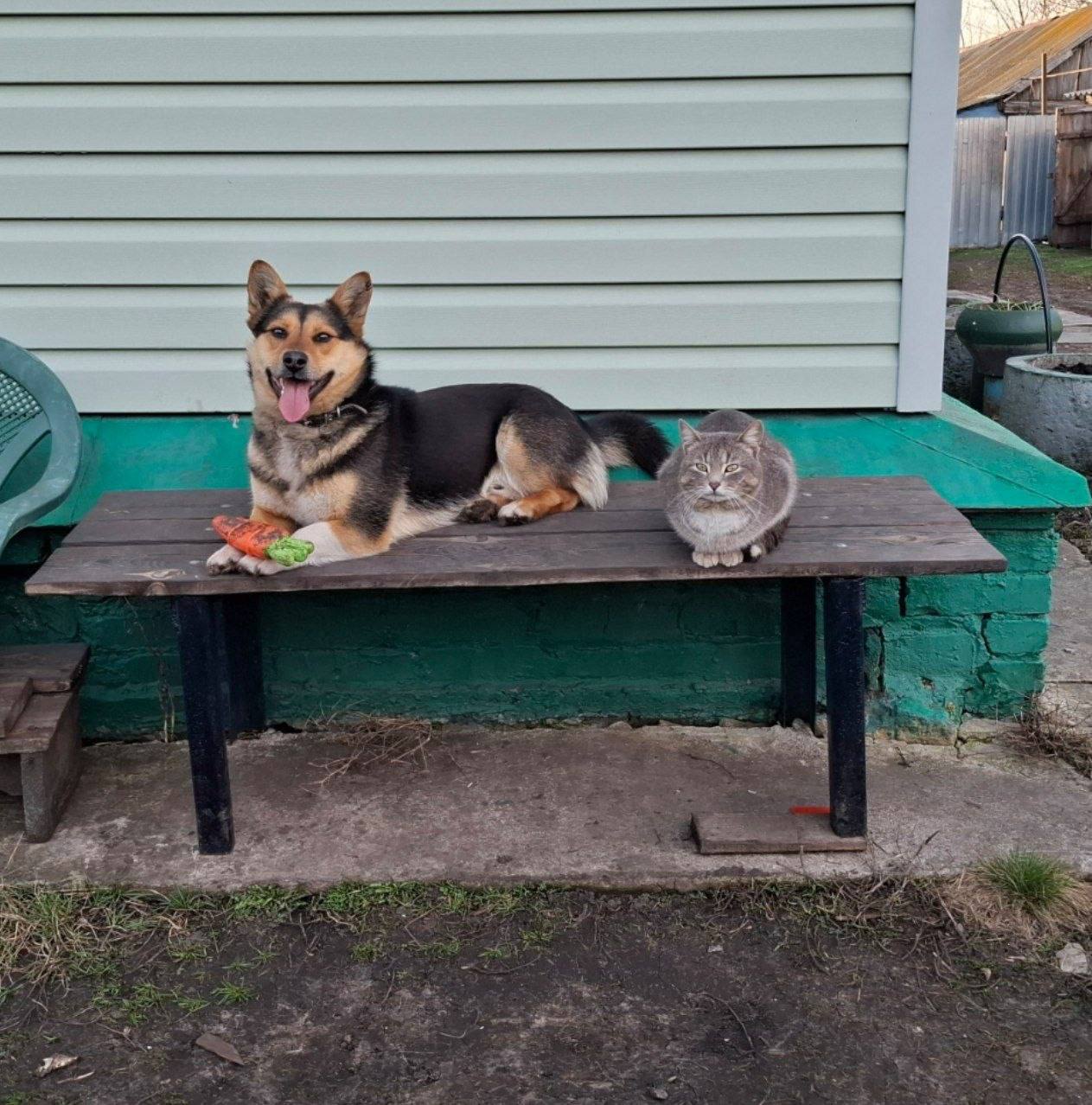 6 апреля в Саратове будет солнечно и без осадков 6 апреля в Саратове будет солнечно и без осадков