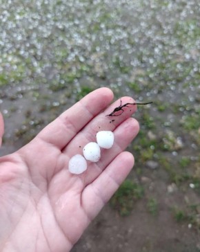 Сильный град обрушился сегодня на Аткарский район