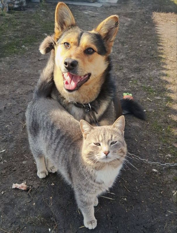 6 ������ � �������� ����� �������� � ��� �������