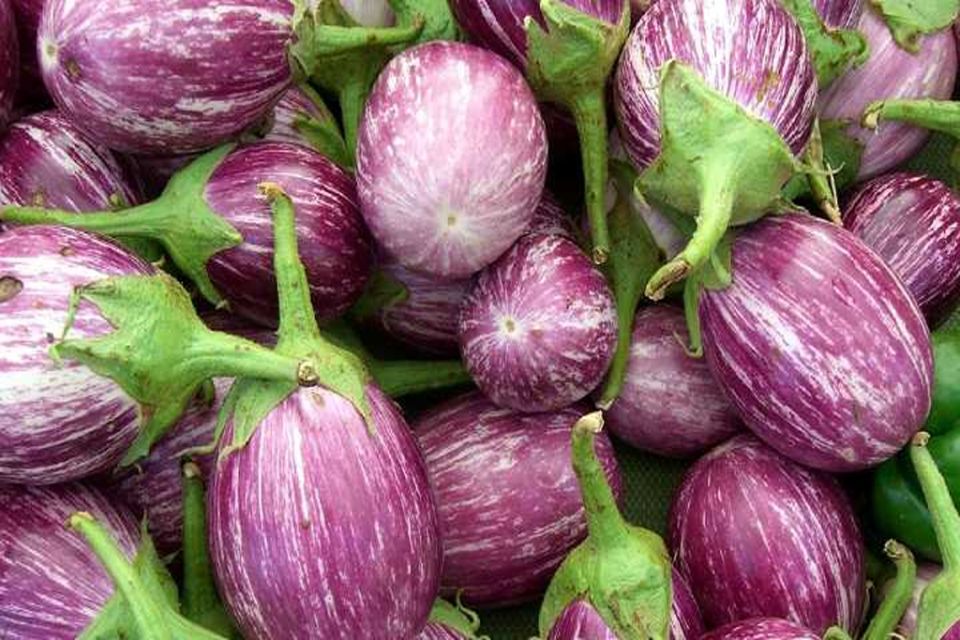 �������� �� ������: ���������� ����� ��������� ����������