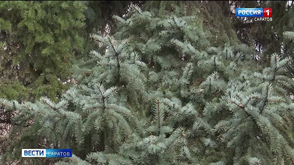 � ����������� ������� ������� ���� ��� ����� � +14 ��������