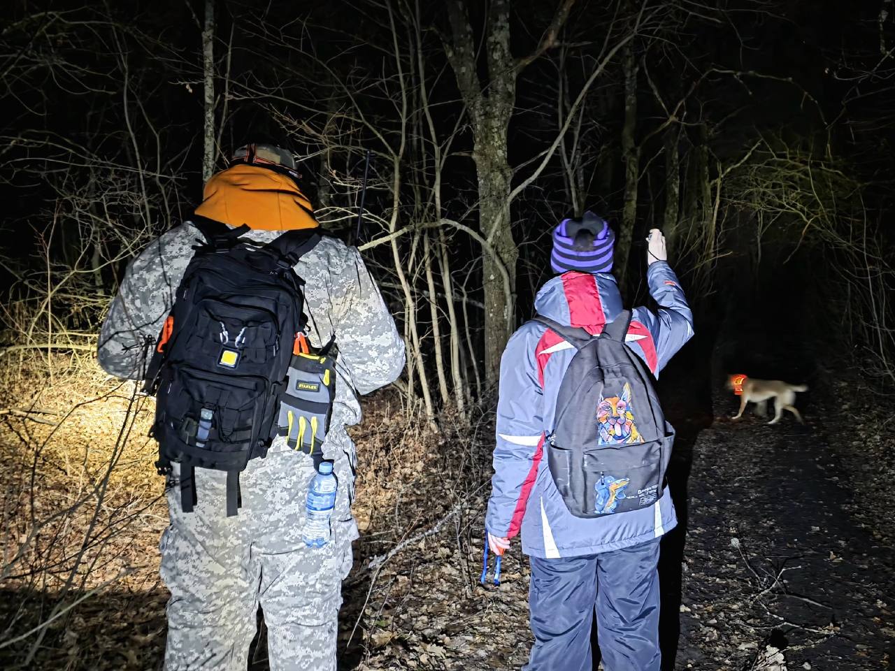 Кинологи и всадники объединились ради поиска Виктора Пипунырова Кинологи и всадники объединились ради поиска Виктора Пипунырова