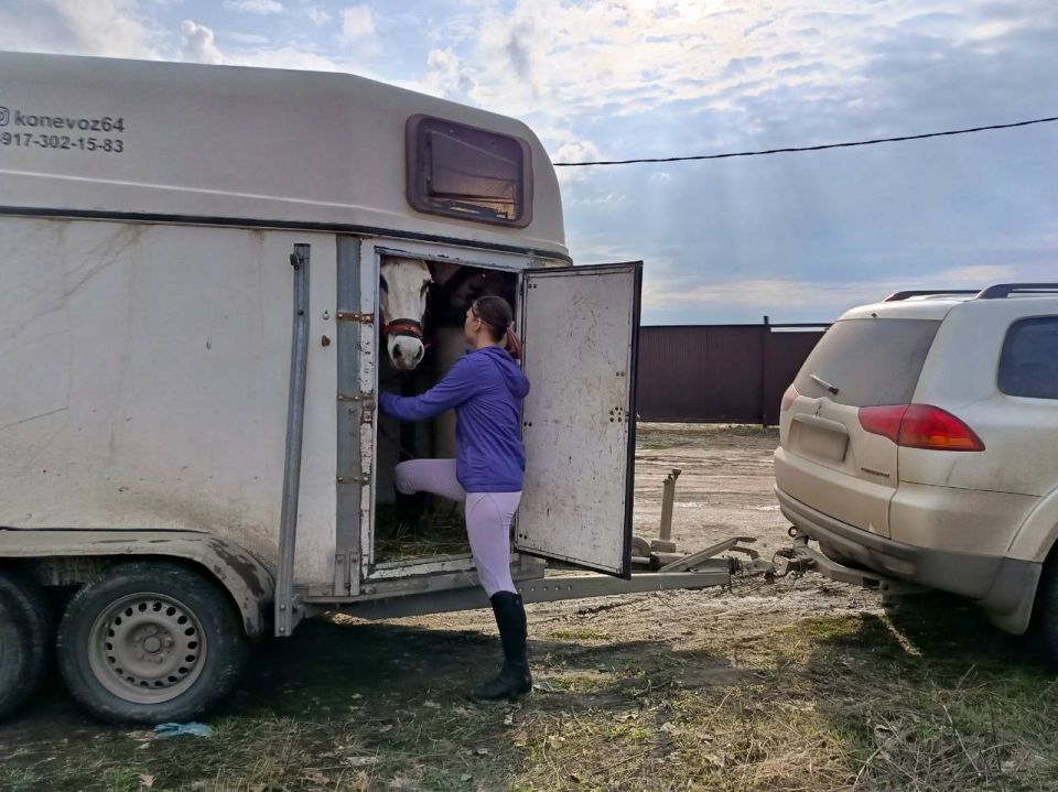 �������� � �������� ������������ ���� ������ ������� ����������