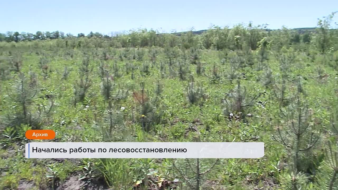 Начинаем день с самого первого выпуска «Вестей»