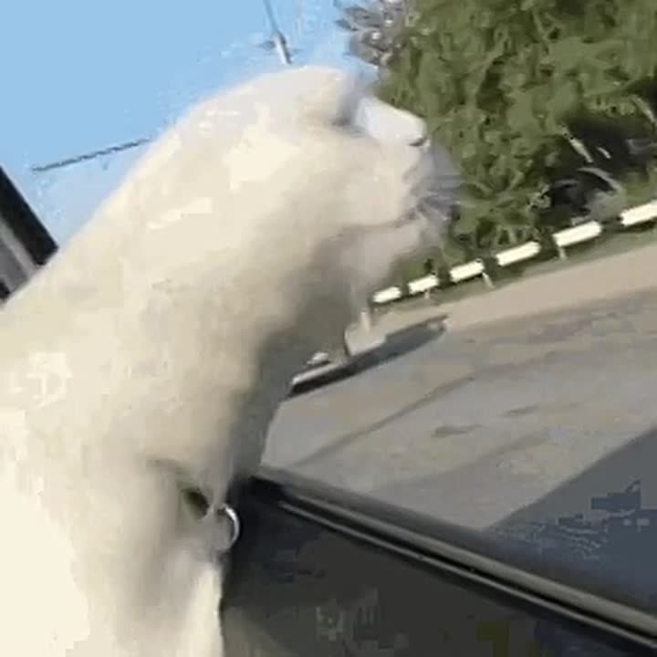 Саратовцев ждет дождливая и ветреная неделя