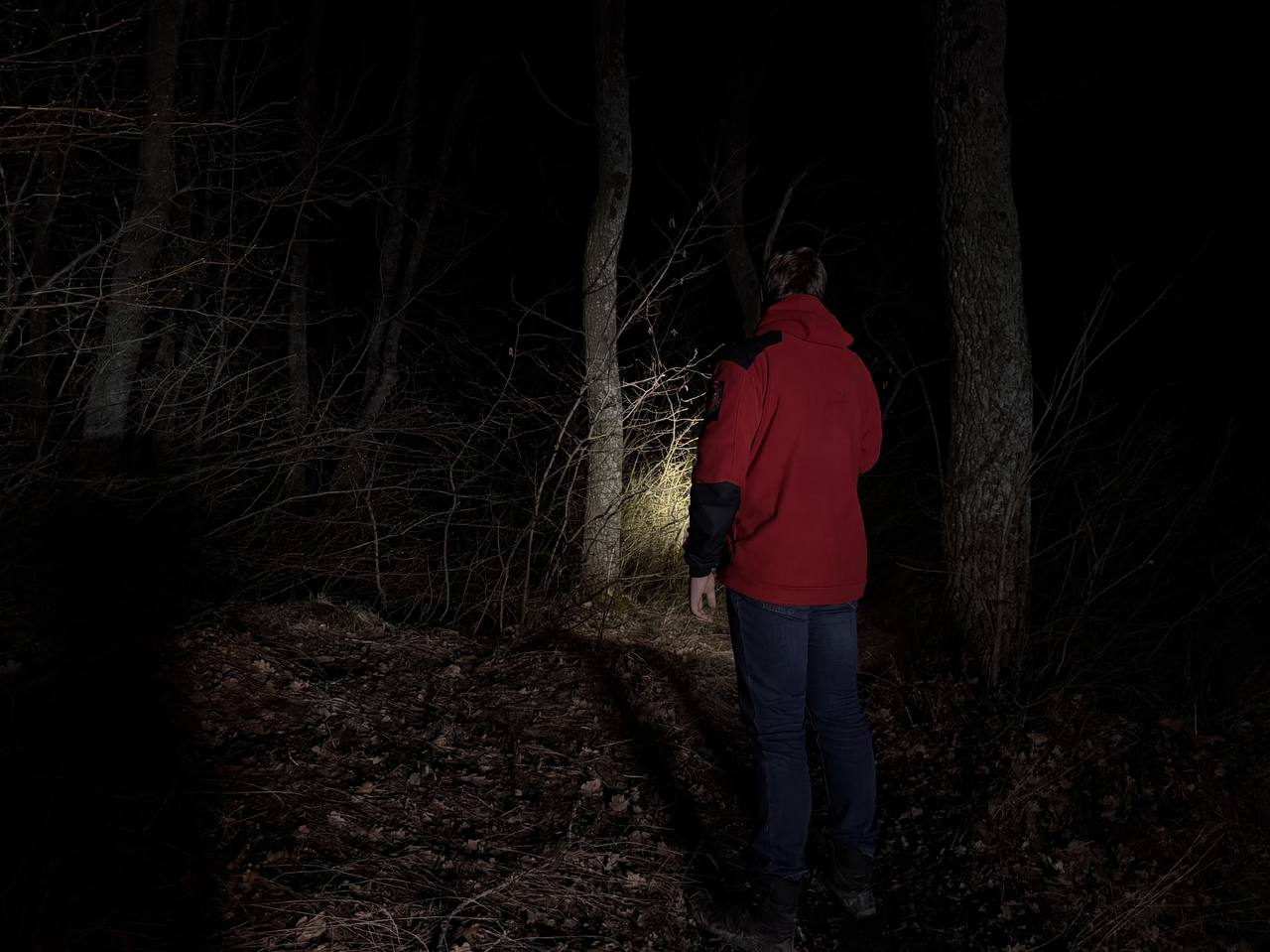 Кинологи и всадники объединились ради поиска Виктора Пипунырова Кинологи и всадники объединились ради поиска Виктора Пипунырова