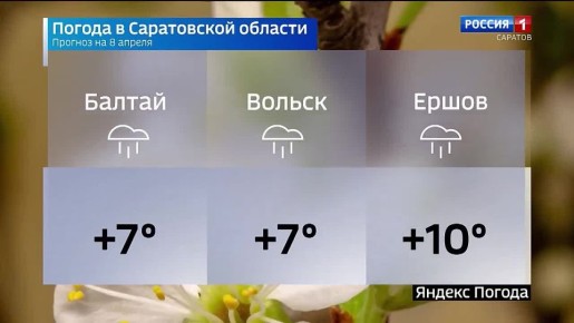 ������� ������ �� 8 ������