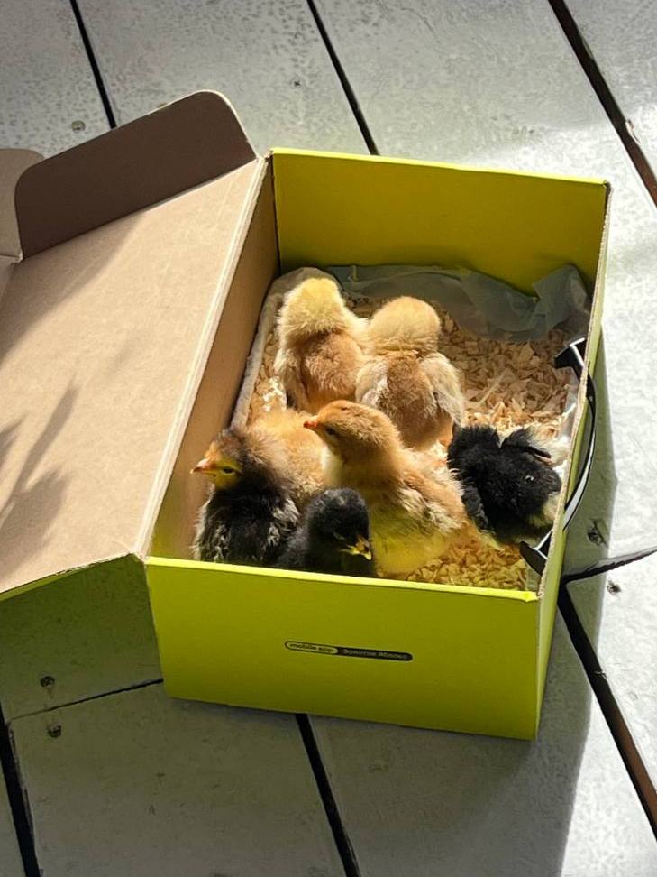 В среду 8 апреля в Саратовской области будет холодно и дождливо В среду 8 апреля в Саратовской области будет холодно и дождливо