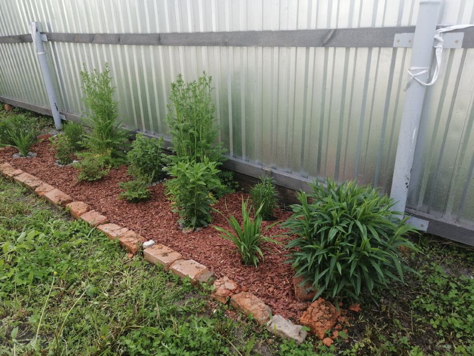 ���� ��� ����������: ��� ������ ������� ������ ����� ������