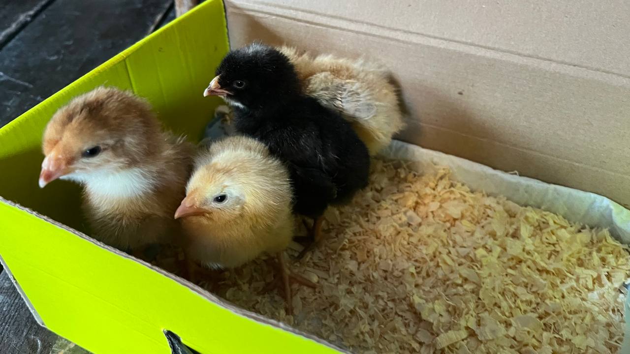 В среду 8 апреля в Саратовской области будет холодно и дождливо В среду 8 апреля в Саратовской области будет холодно и дождливо