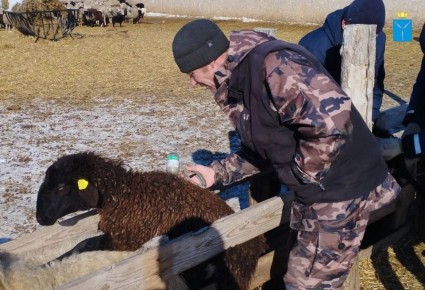 � ������ ���� ����������� ���������� ����� �������