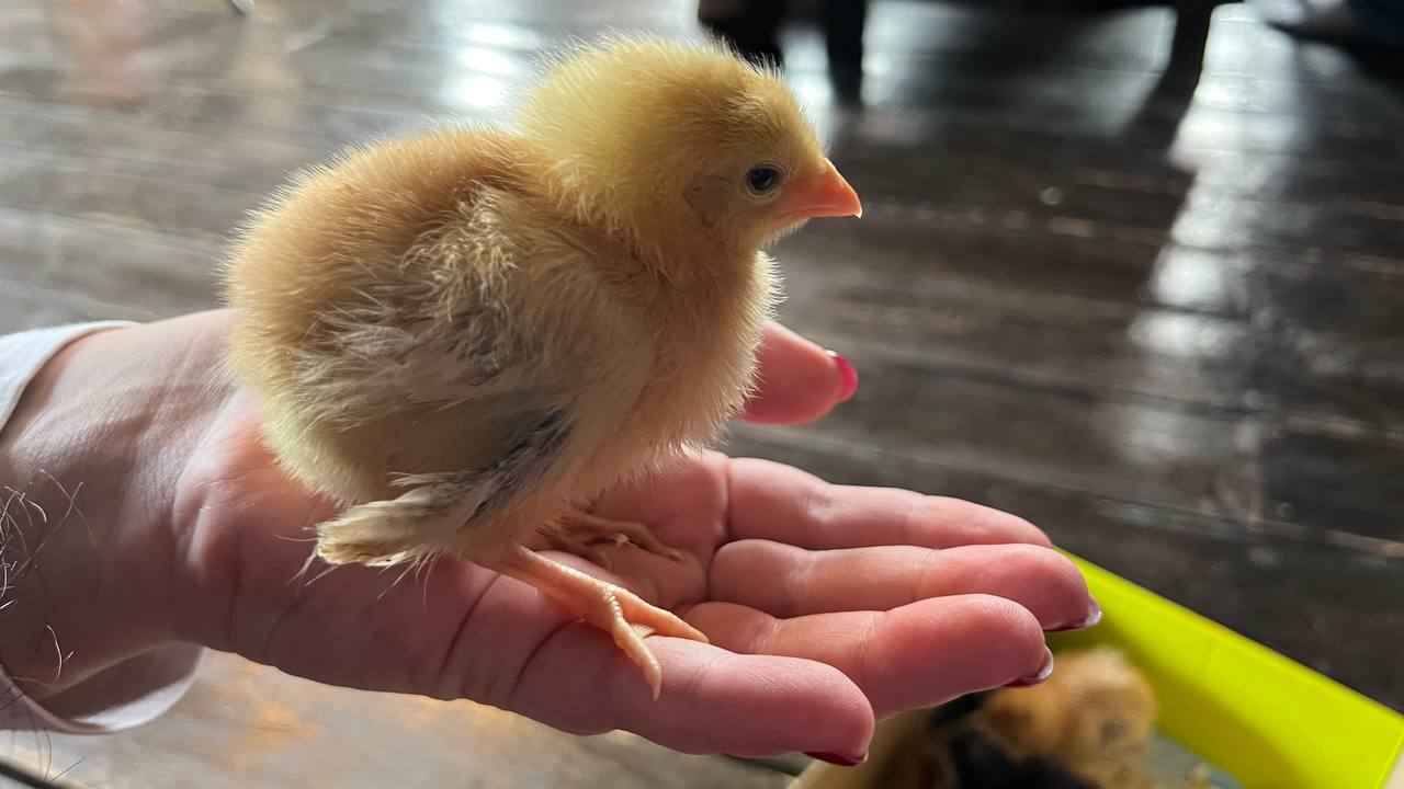 В среду 8 апреля в Саратовской области будет холодно и дождливо