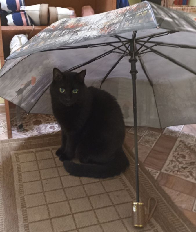 � ������� 9 ������ � ����������� ������� ��������� �����