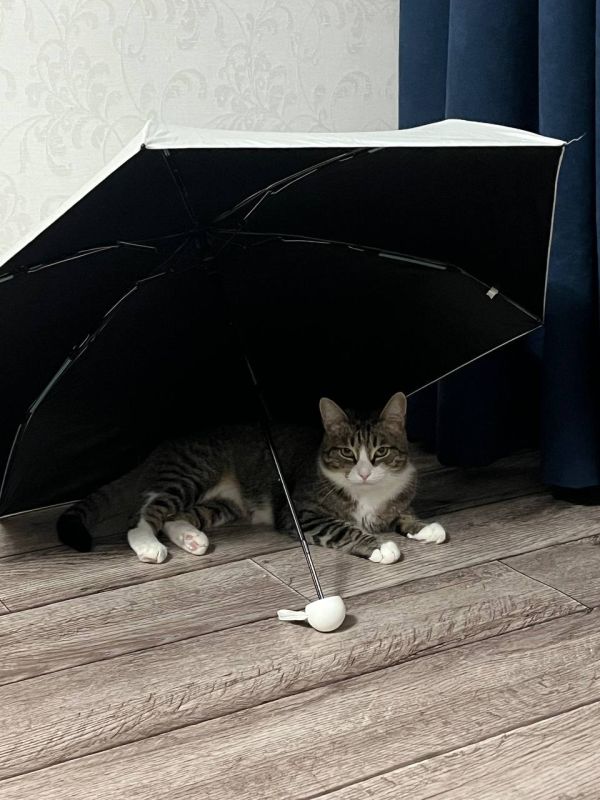 � ������� 9 ������ � ����������� ������� ��������� �����