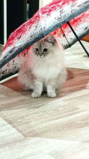 � ������� 9 ������ � ����������� ������� ��������� �����