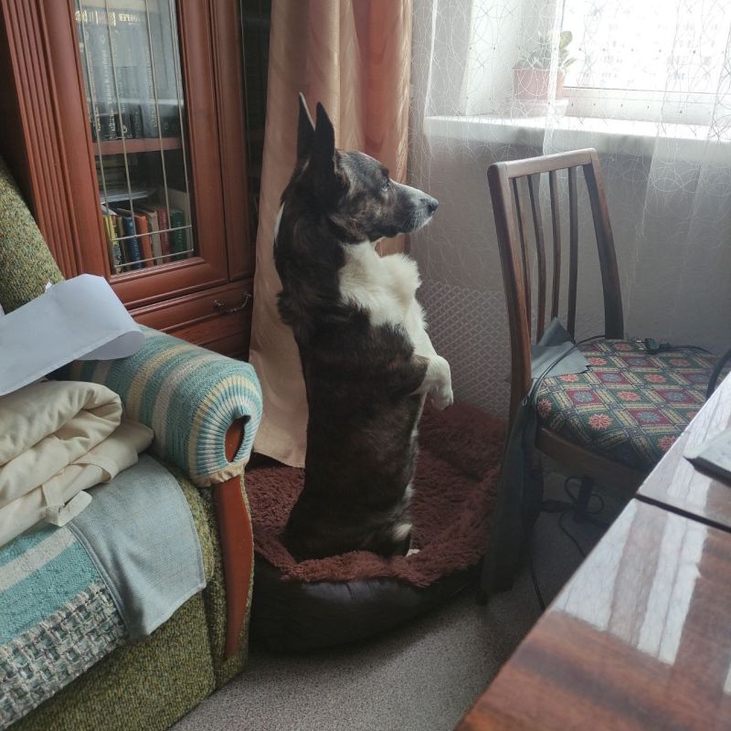 � ������� 9 ������ � ����������� ������� ��������� �����