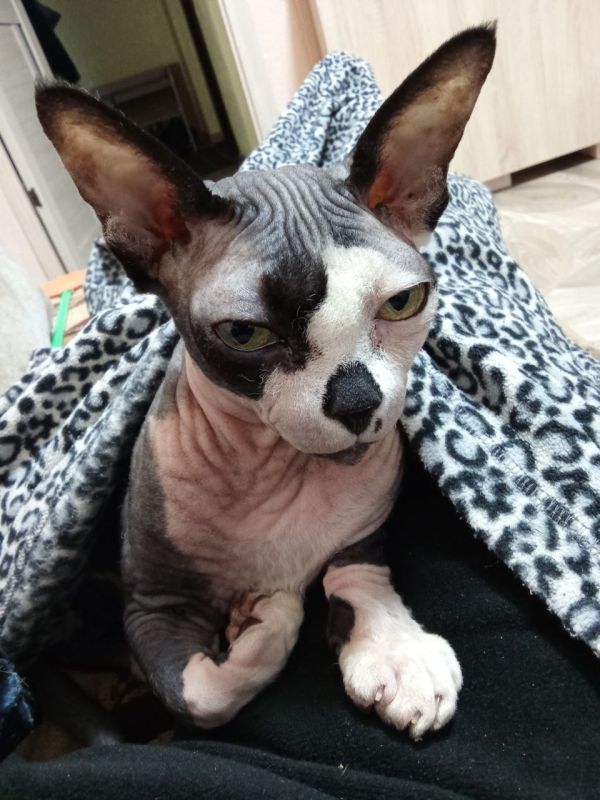 � ������� 9 ������ � ����������� ������� ��������� �����