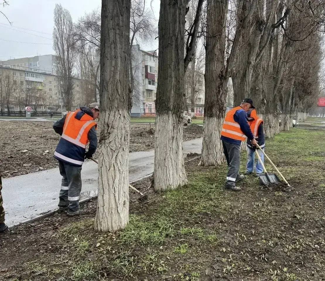 В районах города ведутся работы по содержанию зеленых зон В районах города ведутся работы по содержанию зеленых зон