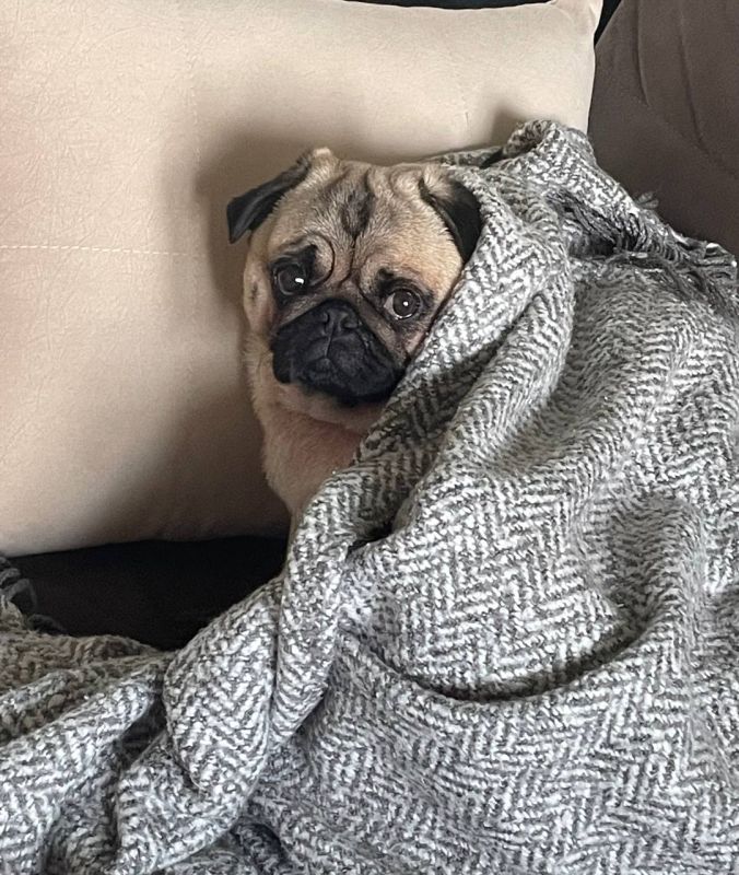 � ������� 9 ������ � ����������� ������� ��������� �����