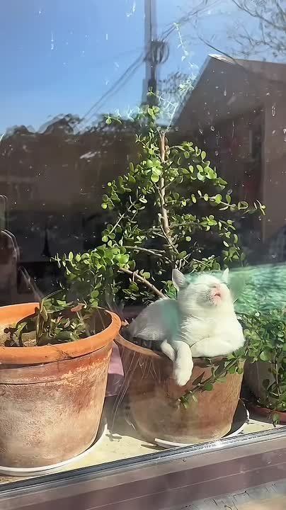 ��������������������