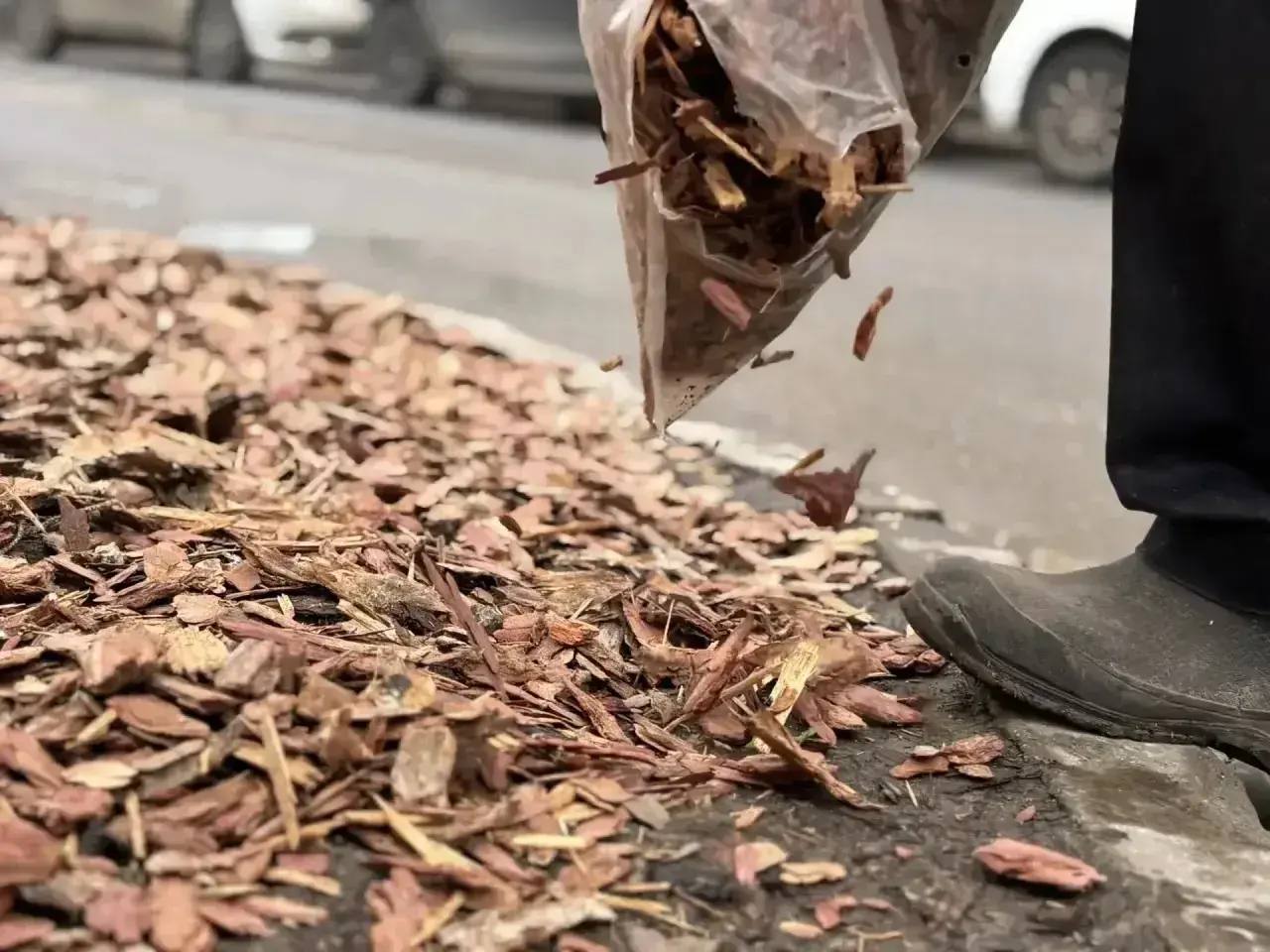В районах города ведутся работы по содержанию зеленых зон В районах города ведутся работы по содержанию зеленых зон