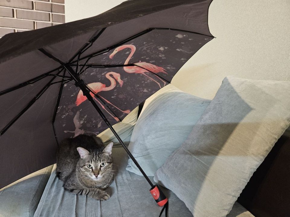 � ������� 9 ������ � ����������� ������� ��������� �����