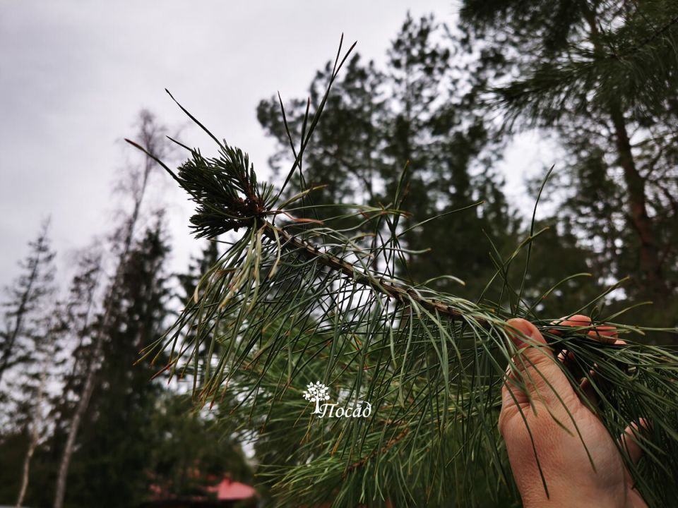 ��������� ������� �� �������: �������� ����� � � �����