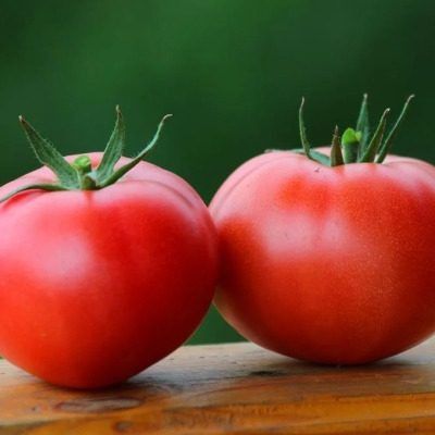 ����� �������: ��������� ����� ��� ����������� � 2026 ����