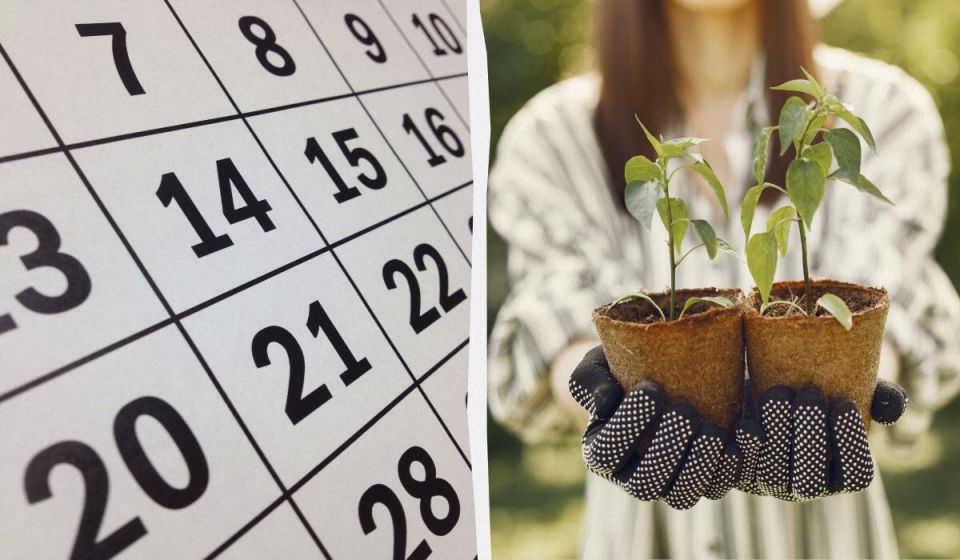 ������ ��������� �� ���� 2026: ��������� ��� ��� ������ �������