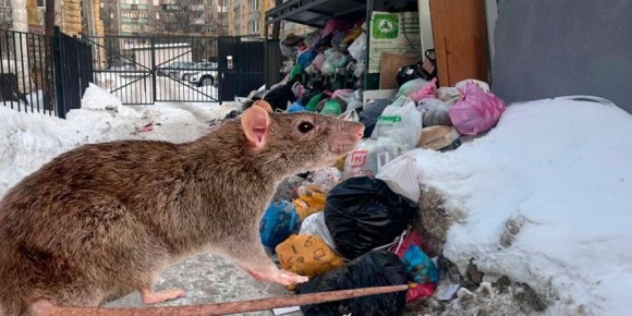 ��������� ���� ��� ������ ����������