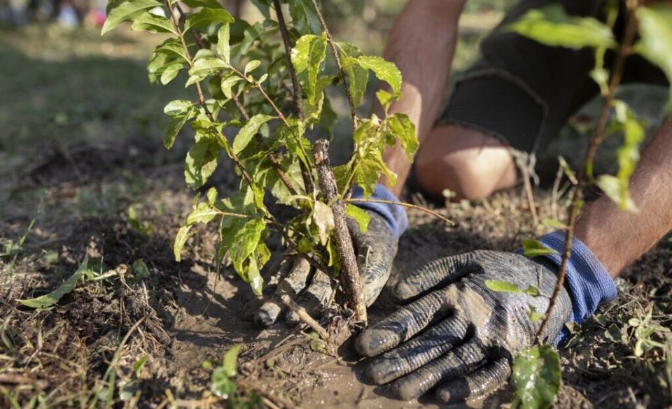 ������� �������� �������� ������� �������� ��������