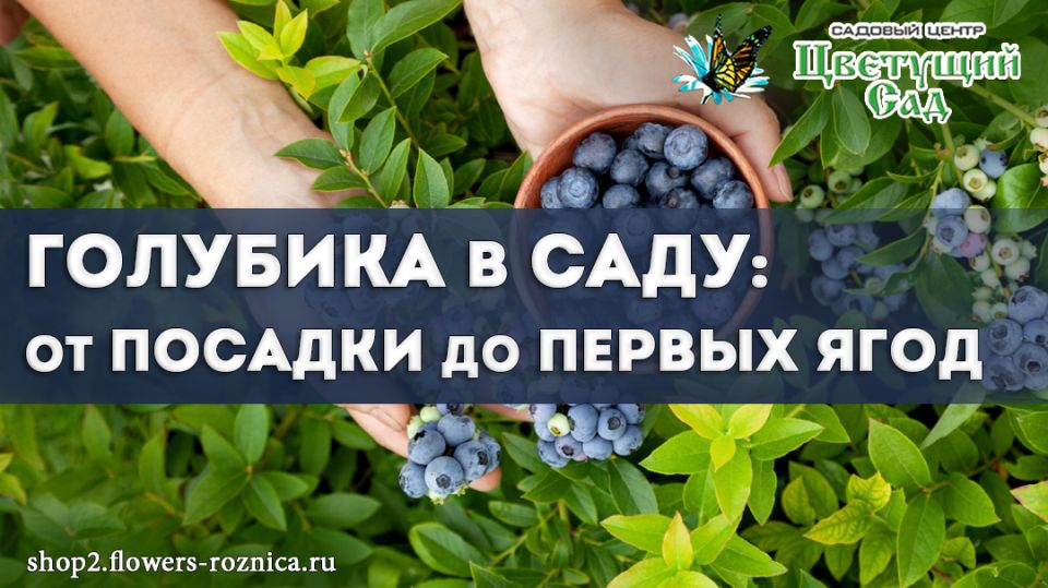 ��������: ��� ��������� ������� ��� � ����� ����