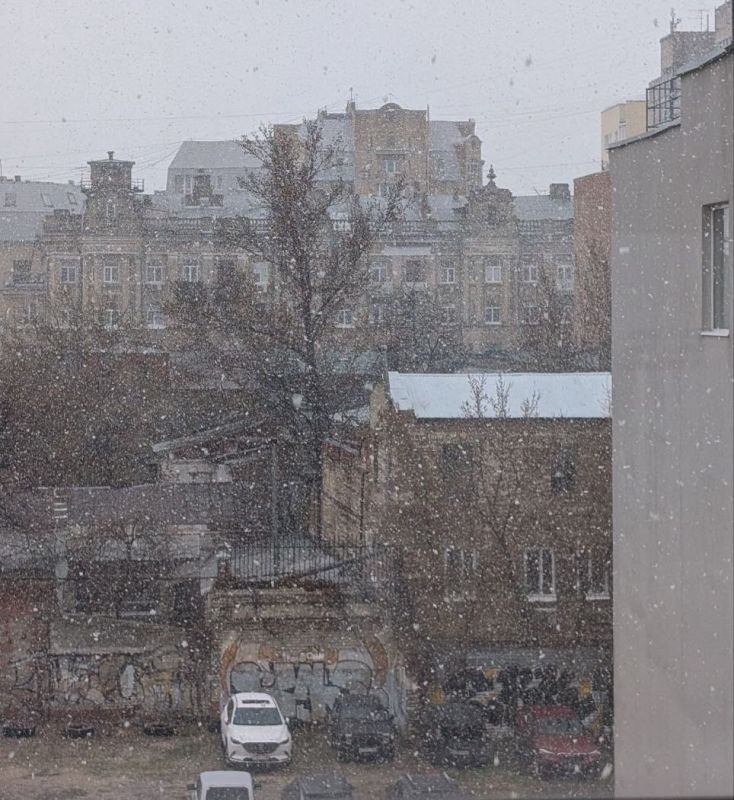 ���� � ���������� ����� �����������