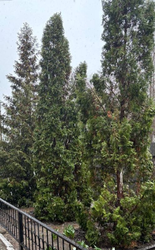 ���� � ���������� ����� �����������